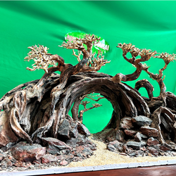 Aquascaping